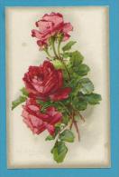 CPA Fantaisie Impression Toilée Fleurs Rose Illustrateurs Catharina KLEIN - Klein, Catharina