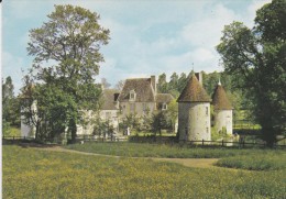 58---BRINION SUR BEUVRON---le Château---voir 2 Scans - Brinon Sur Beuvron