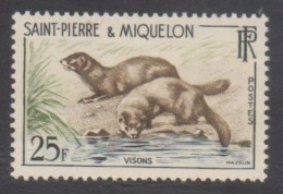 SAINT-PIERRE Et MIQUELON :Faune - Visons - Famille Des Mustélidés - Mammifères - - Ongebruikt