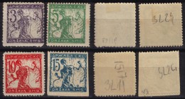 1919 - SHS Yugoslavia Slovenia - Bookprint VERIGARI Chain Breaker - MH - Unused Stamps