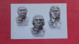Java Man Cro Magnon Man Neanderthal Man= 71 - Zonder Classificatie