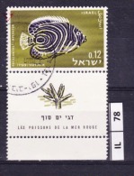 ISRAELE, 1963, Pesci Mar Rosso, 0,12, Usato, Con Tab - Used Stamps (with Tabs)