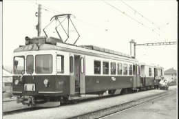 Phot-Carte ( Train Pour Echallens Avant Suppression Du Service Postal ) Dechargement Du Courrier A L'Arrière En 1969 - Échallens