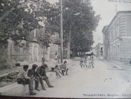 CPA Hérault Baillargues  Avenue De Castries - Sonstige & Ohne Zuordnung