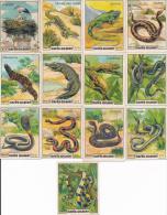 Lot De 29 Vignettes Chromo Cafés GILBERT Les Animaux - Tea & Coffee Manufacturers