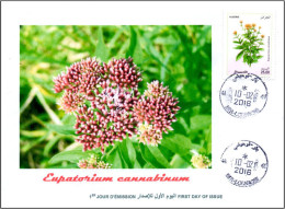 ALGERIA 2016 FDC Medicinal Plants Plantes Medicinales Flora Flore Heilpflanzen Plantas Eupatorium Cannabinum - Plantes Médicinales