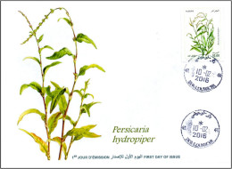 ALGERIA 2016 FDC Medicinal Plants Plantes Medicinales Flora Flore Heilpflanzen Plantas Persecaria Hydropiper Health - Plantes Médicinales