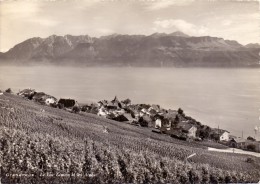 CH 1091 GRANDVAUX, Lac Leman, 1962 - Grandvaux