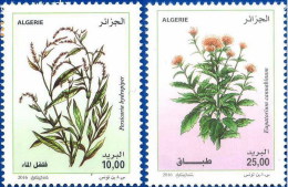 Algérie 2016 - 1735/1736 - Plantes Médicinales - Plantes Médicinales