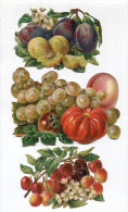 3 Découpiis Fruits - Other & Unclassified
