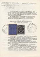 744  Droits De L´Homme - Menschenrechte - Human Rights - Luxembourg 1963  TTB - Variedades & Curiosidades