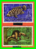 GRAN BRETAÑA  BRITISH -HONDURAS  SELLOS  AÑOS -1969 - Brits-Honduras (...-1970)