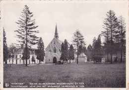 DENDERMONDE : église Du Béguinage - Dendermonde