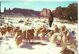 Monument Valley (Utah, USA) An Early Snow Covers Monument Valley With A Blanket Of White - Monument Valley