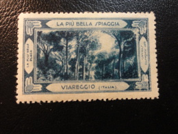 VIAREGGIO LA Piu Bella Spiagia  Vignette Poster Stamp Italia Italy Italie - Other & Unclassified