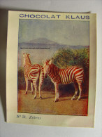 IMAGE CHROMO CHOCOLAT KLAUS - N°31 - ZEBRES - 7cm X 9cm - Zèbre Zebra Zebras - Other & Unclassified