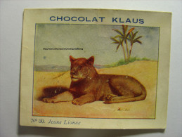 IMAGE CHROMO CHOCOLAT KLAUS - N°30 - JEUNE LIONNE - 9cm X 7cm - Young Female Lion - Autres & Non Classés