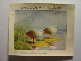 CHROMO CHOCOLAT KLAUS - IMAGE N°3 - JEUNES GOELANDS ARGENTES - 9cm X 7cm - OISEAU MARIN GOELAND YOUNG GULL BIRD - Other & Unclassified