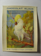 IMAGE CHROMO CHOCOLAT KLAUS - N°14 - CACATOES A CASQUE (AUSTRALIA) - 7cm X 9cm - BIRD OISEAU COCKATOO (AUSTRALIA) - Autres & Non Classés