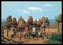 AFRICA - ANGOLA - COSTUMES - Secadouro De Amendoim (Ed. ELMAR Nº 538) Carte Postale - Angola