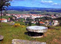 43  SAUGUES Alt 960m Vue Panoramique ,a L'arriere Plan Les Monts De La Margeride - Saugues