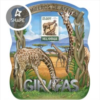 Mozambique. 2015 Giraffes. (217b) - Giraffes