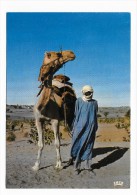 REPUBLIQUE DU TCHAD - N° 5427 - CHAMELIER - CPM GF VOYAGEE - Chad