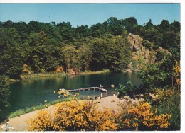 79 -  ARGENTON CHATEAU - LE LAC D AUTIBUS ET LA PLAGE  - PECHE A LA LIGNE - Argenton Chateau