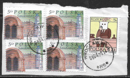 La Pologne Sur Fragment, USED - Oblitérés