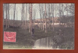 1 Cpa Bray Sur Somme Marais Du Huiquet - Bray Sur Somme