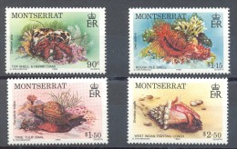 Montserrat - 1984 Marine Flora And Fauna MNH__(TH-13575) - Montserrat