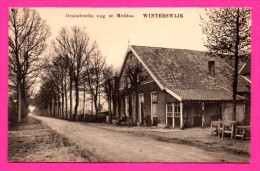 Winterswijk - Groenlosche Weg Te Meddoo - G.J. ALBRECHT - E.B. - Winterswijk