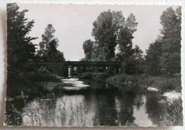 CPA NON VOYAGEE LIGNY LE CHATEL YONNE PONT DES PLANCHES - Ligny Le Chatel