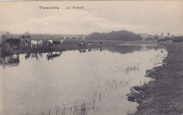 Florenville - La Semois (panorama, Vaches, PhoB) - Florenville