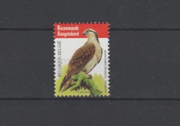 2011 Belgium Bird Osprey Buzin MNH - Nuevos