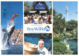 (160) Australia - QLD - Gold Coast Sea World - Gold Coast