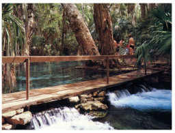 (160) Australia - NT - Mataranka Thermal Pool - Darwin