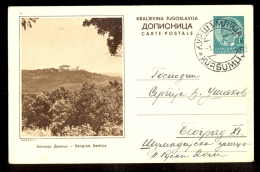 Illustrated Stationery - Image Beograd Dedinje / Stationery Circulated, 2 Scans - Other & Unclassified