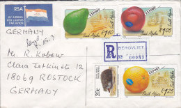 South Africa AIR MAIL "Flag" & Registered Einschreiben Labels BERGVLIET 1994? Cover Brief Avocado Orange Tomato Hedgehog - Poste Aérienne