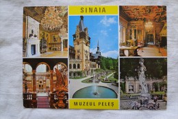 Romania Sinaia Muzeul Peles  A 84 - Romania