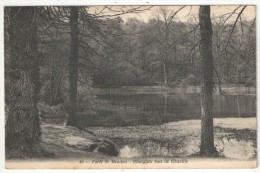 92 - CHAVILLE - Forêt De Meudon - Etang Du Bois De Chaville - Barraud Bourdier 46 - 1907 - Chaville