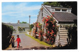 Cpsm: ETATS UNIS - USA - NANTUCKET ISLAND , Mass - Narrow Lanes Beautiful Roses. 1969  N° 1582 - Nantucket