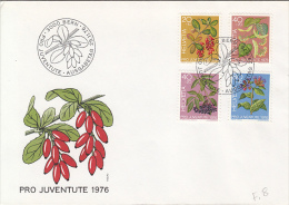 MEDICINAL PLANT, BARBERRY, LINDEN, ELDER, LUNGWORT, PRO JUVENTUTE, COVER FDC, 1976, SWITZERLAND - Plantes Médicinales