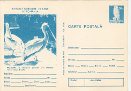 BIRDS, PELICANS, KESTREL, PC STATIONERY, ENTIER POSTAL, 1977, ROMANIA - Pélicans