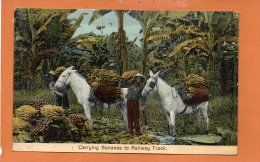 Carrying Bananas To Raillway Track - Costa Rica - Costa Rica