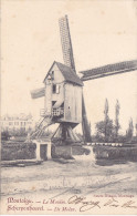 Montaigu - Scherpenheuvel -  De Molen - Le Moulin (Smets-Nihoul, 1904) - Scherpenheuvel-Zichem