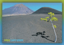 Cap Verde - Cape Verde