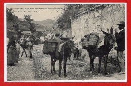 ESPAGNE  -- GRANADA --  Fuente Del Avellano - Granada