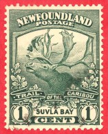 Canada Newfoundland # 115 -  1 Cent - O Choice VF - Dated  1919 - Suvla Bay - Caribou - 1908-1947