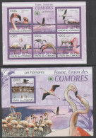 COMORES, 2009, MNH, BIRDS, FALMINGOES, SHEETLET+ S/SHEET - Fenicotteri